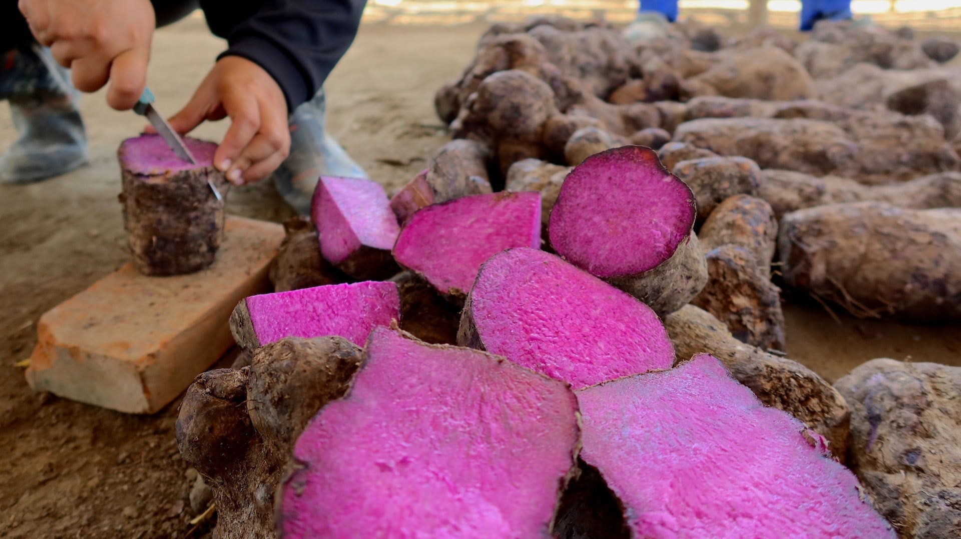 What is Ube? Origins, flavor, and uses